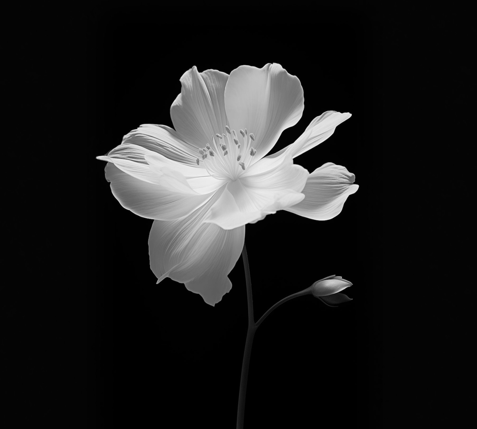 A bloom held still inside a blurred field